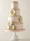 Kerry Vincent's Scalloped Python Cake Stencil | C740 by Designer Stencils | Stencils for Royal Icing, Airbrush, Dusting Powder |